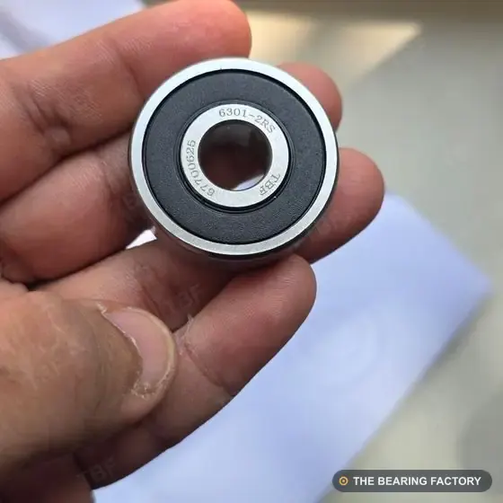 6301 bearing